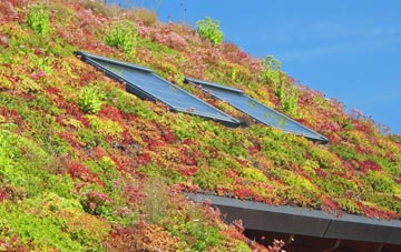 Manthorpe living roof systems